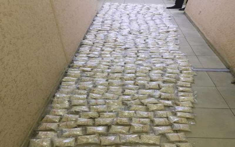 إحباط تهريب ‫نصف مليون حبة مخدرات