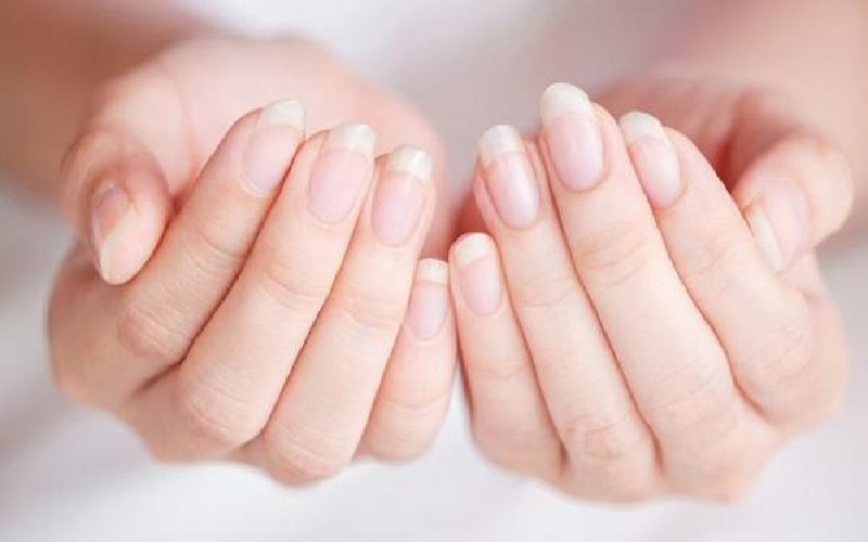 4 زيوت أساسية ضرورية للعناية بصحة