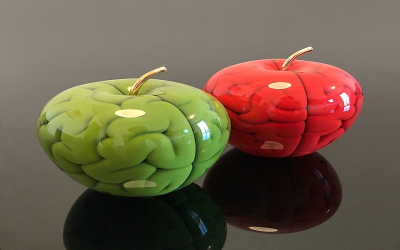 العلماء يثبتون فوائد التفاح للدماغ