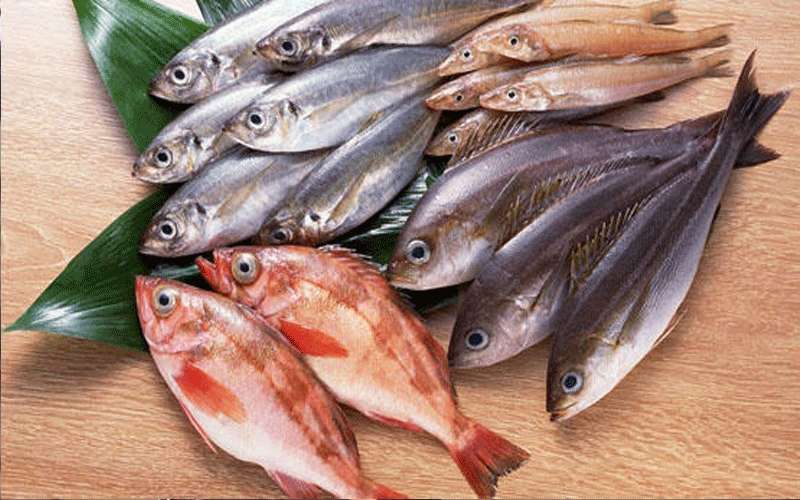 ضبط 42 طنا من الأسماك منتهية