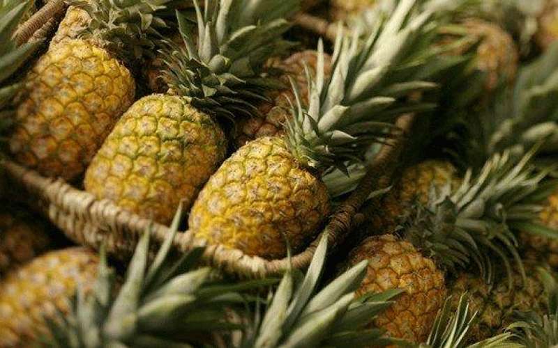 توضيح من الزراعة حول استيراد الأناناس