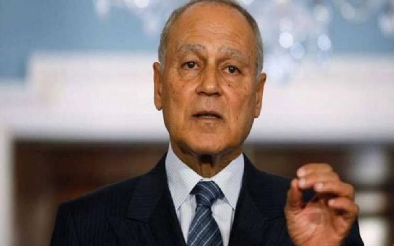 أبو الغيط يبحث مع المبعوث الأممي