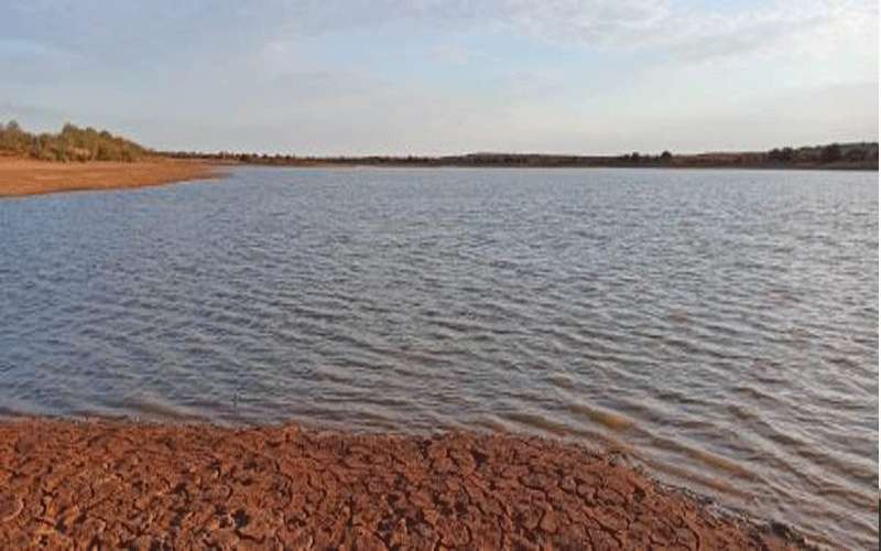 الرويشد: 80 - 90% نسبة تخزين