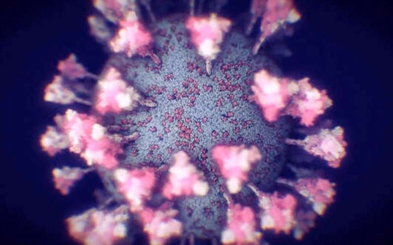 اكتشاف سلالة جديدة لكورونا في فنلندا