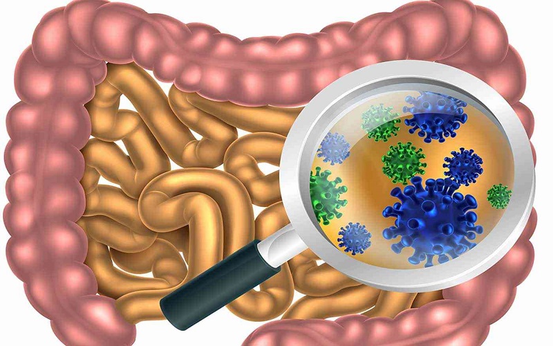 140 ألف فيروس تعيش داخل أمعاء