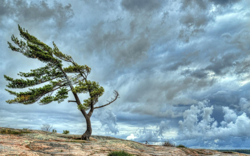 الأرصاد تنشر حالة الطقس في المملكة