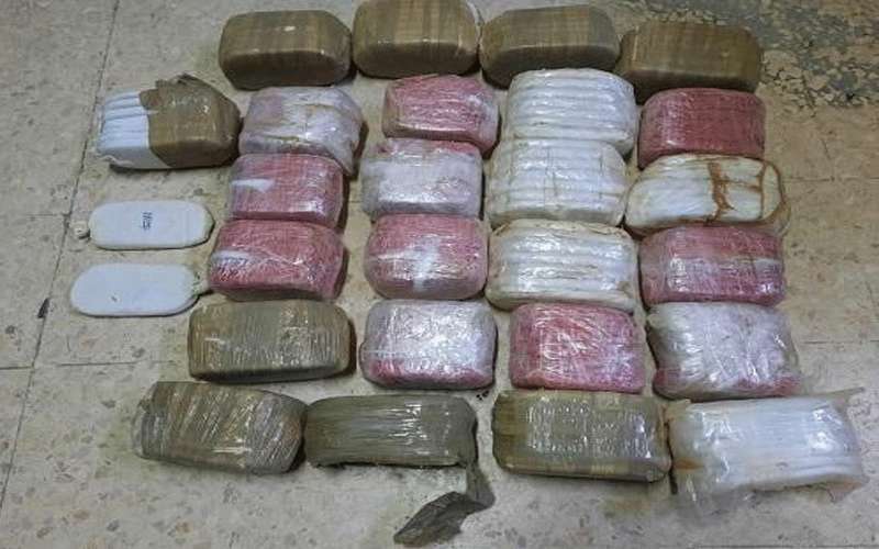 ضبط 279 كف حشيش و6 الاف