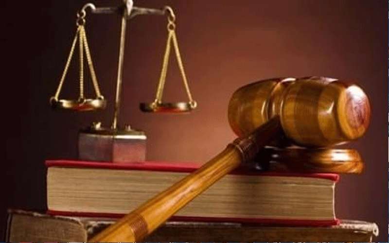 التعليم العالي تحويل مئات التبليغات للمدعي