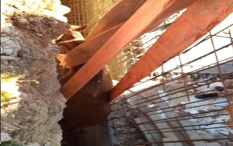 إنقاذ حصان وقع داخل حفرة بالياسمين