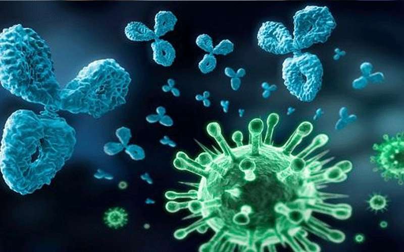 ربع المتبرعين بالدم لمركز الحسين مصابون