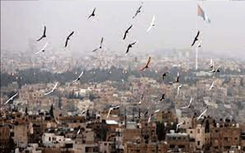 الحرارة أعلى من معدلاتها بـ9 درجات