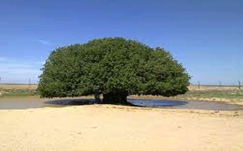 الأشغال: لجنة لدراسة الطريق المؤدي لموقع