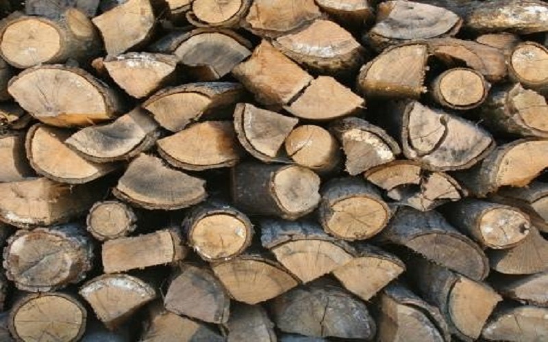 حنيفات: سنخفض نسبة التعديات على الغابات