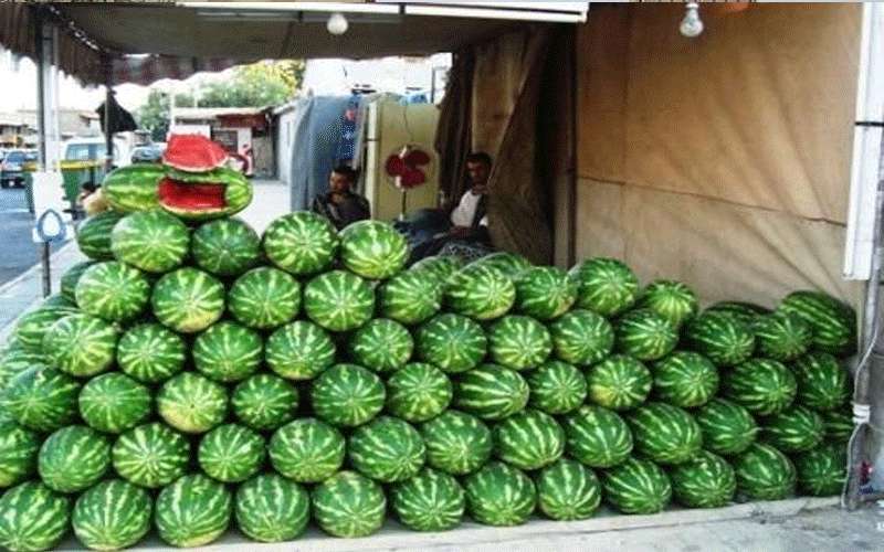 الأمانة: التقديم لمعرشات البطيخ إلكترونيا