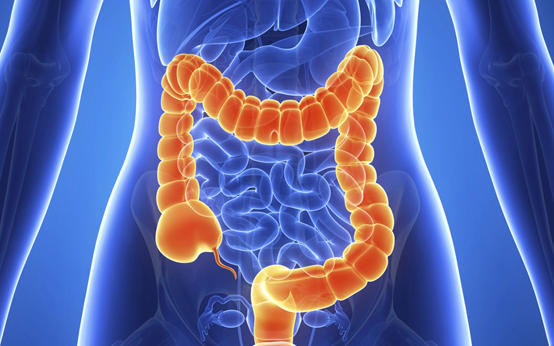 معلومات مفيدة لمن يعاني من القولون