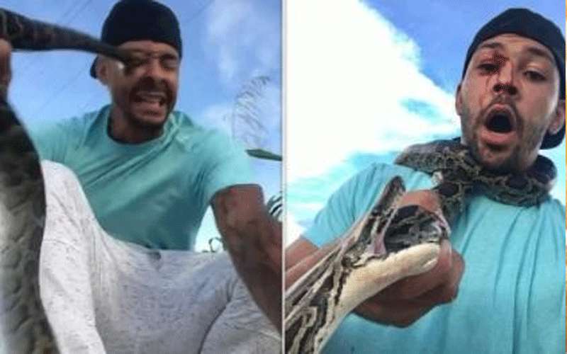 ثعبان يغرز أنيابه بوجه شخص حاول