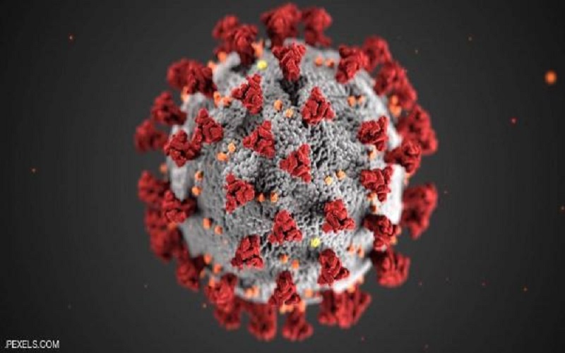 دراسة جديدة تكشف سر التحور السريع