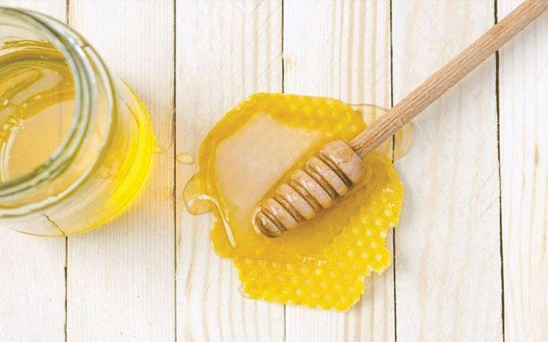 فوائد أكل شمع العسل.. هل اختبرتها؟