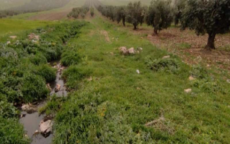 إربد: تشكيل لجنة لبحث أسباب فيضان