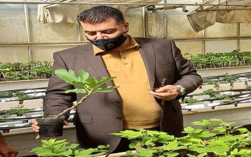 رفع انتاجية المشاتل لـ5 مليون غرسة