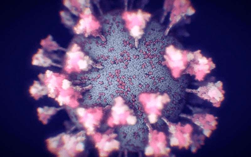 البرازيل تعلن اكتشاف سلالة جديدة لكورونا