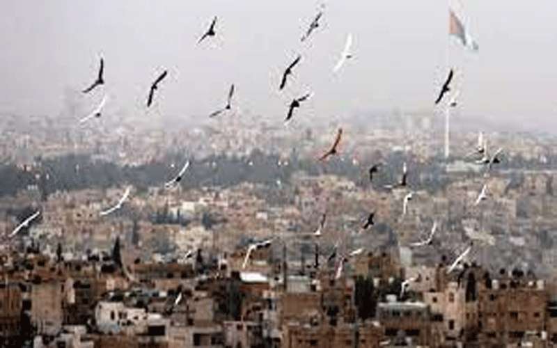 ارتفاع على الحرارة وأجواء مستقرة