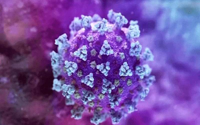 اكتشاف سلالة مزدوجة لكورونا باميركا