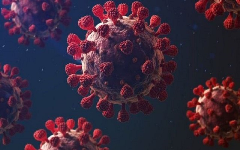 وزير الصحة: 9 إصابات لسلالتي البرازيل