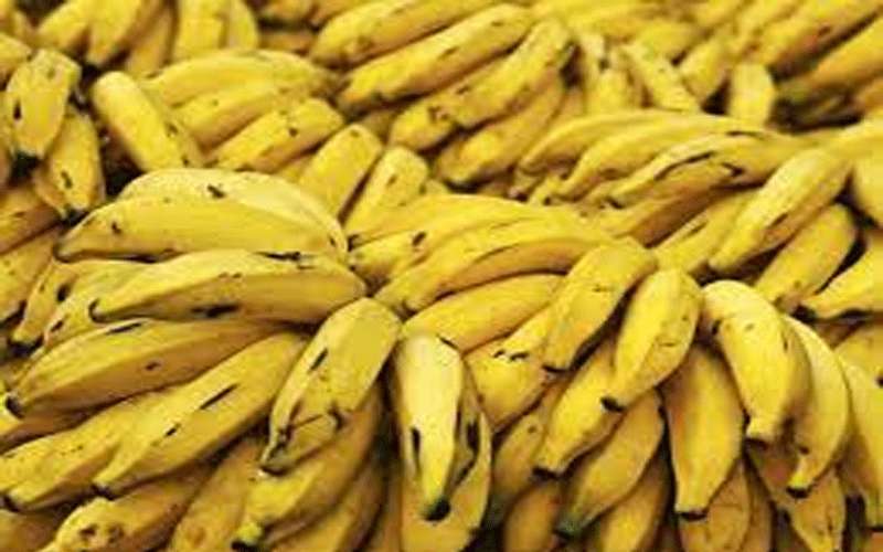 الزراعة تلغي تصريح تاجر فيخسر ٢٢