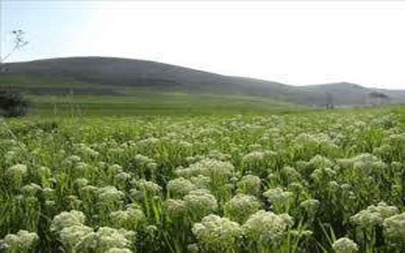أجواء ربيعية معتدلة في أغلب المناطق