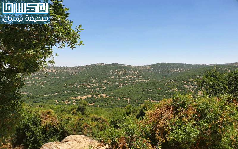 انخفاض حاد على الحرارة اليوم