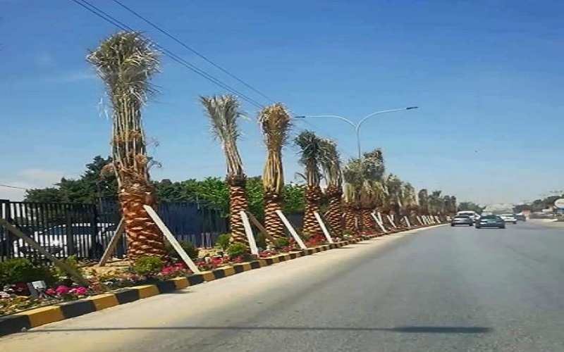 لفتة جميلة وراقية من جامعة عمان