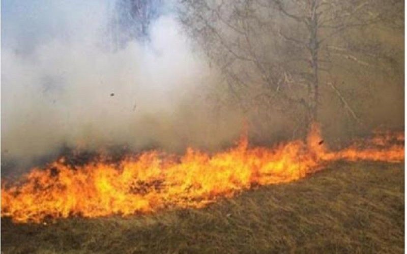 زراعة المفرق تشكل فرقا متخصصة للمساعدة