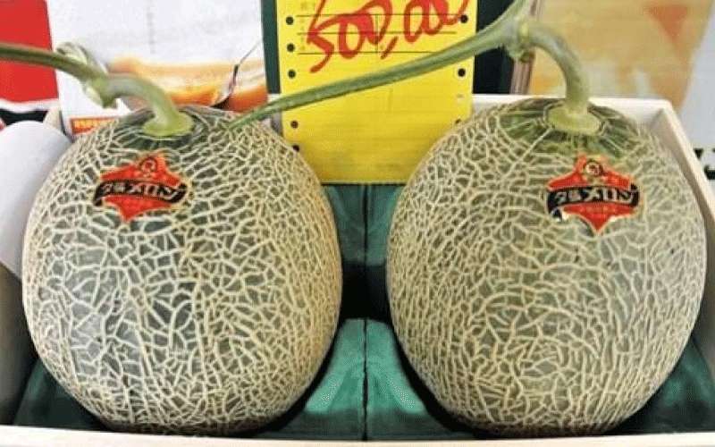 بيع بطيختين بـ25 ألف دولار في