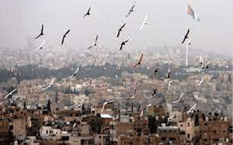 ارتفاع قليل على الحرارة اليوم