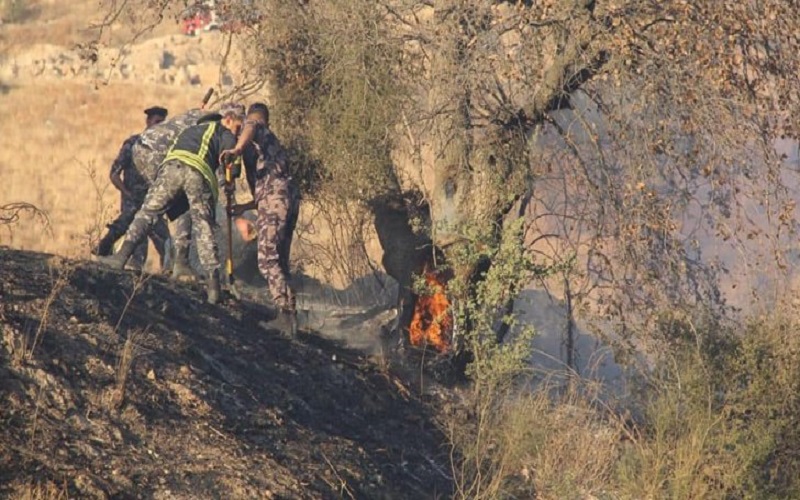 حريق يلتهم مساحات واسعة مزروعة بالقمح