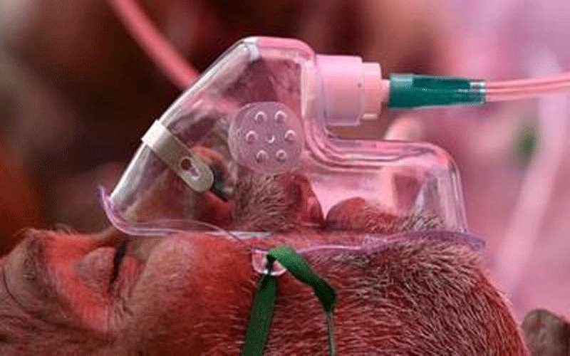 البلبيسي: الفطر الأسود غير معد ويجب