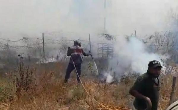 لجنة حصر أضرار حريق الأغوار تباشر