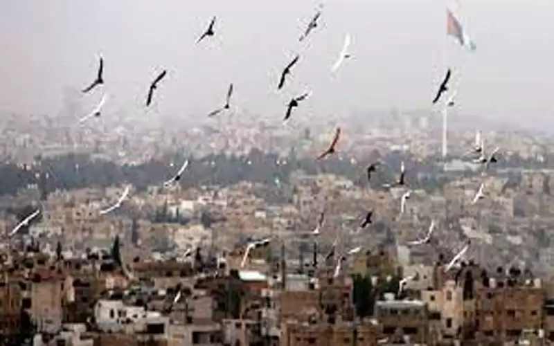 الحرارة تواصل ارتفاعها