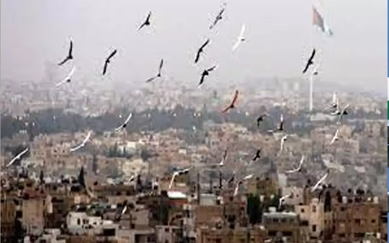 أجواء صيفية اعتيادية