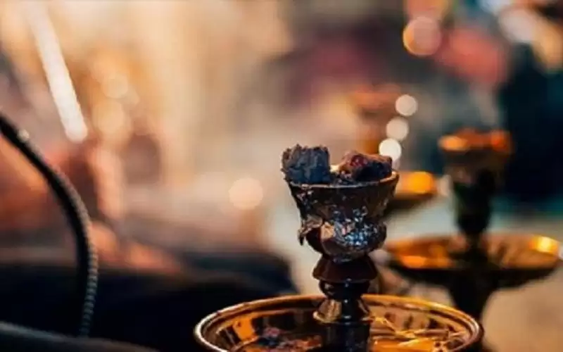 ضبط 7 محال تقدم الأرجيلة في