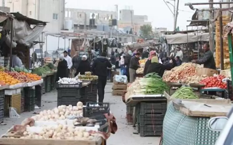 تخصيص 22 قطعة أرض في عمان