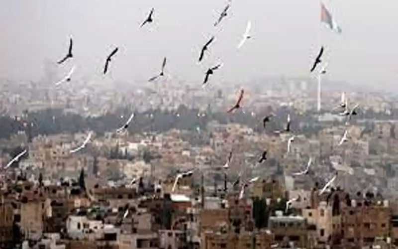 انخفاض ملموس على درجات الحرارة