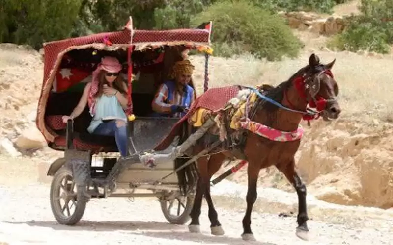 إشادة باستخدام السيارات الكهربائية بدل الخيول