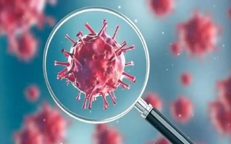 خبير صيني: التحقيق بمنشأ كورونا ينبغي