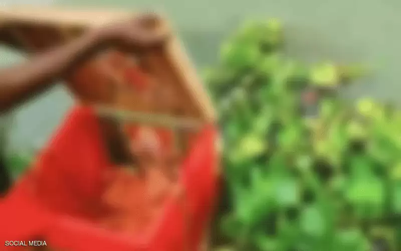 رضيعة في صندوق.. صورة تهز الهند