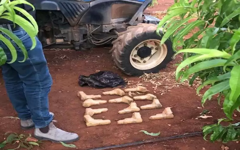 إسرائيل تحبط عملية تهريب أسلحة من