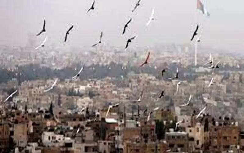 الحرارة تواصل ارتفاعها