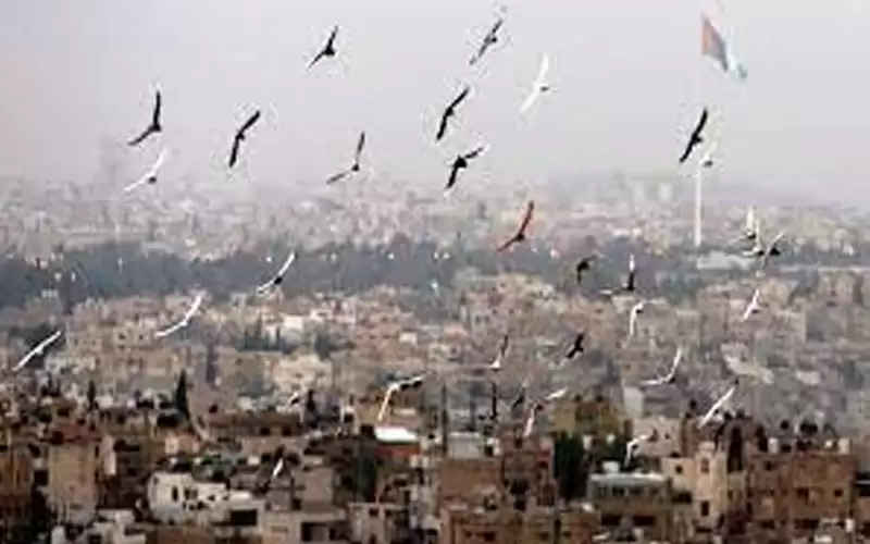 انخفاض طفيف على درجات الحرارة