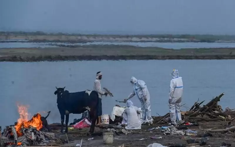 الهند تعلن ظهور طفرة جديدة لفيروس